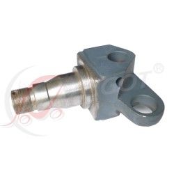 Achsschenkel GPW 2011,...