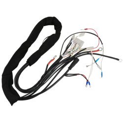 Elektrischer Kabelbaum,...