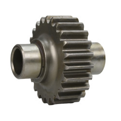 Zahnrad des Pumpenantriebs...